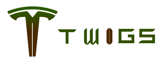 TWIGS MOTORS
